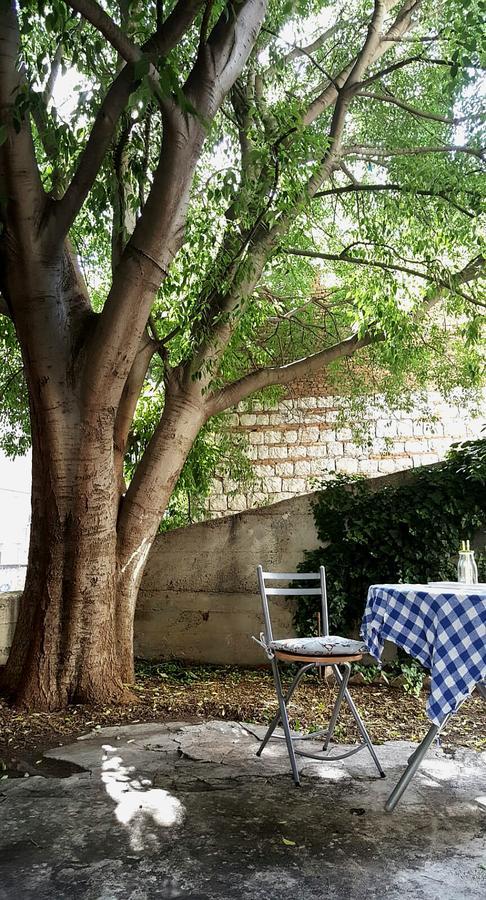 Centar Appartement